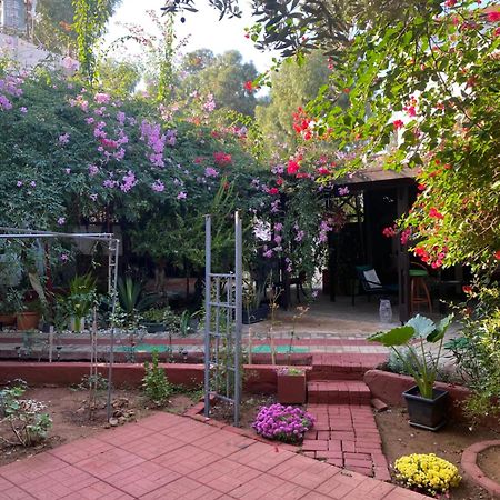 Betul Guest House ฟามากุสต้า ภายนอก รูปภาพ