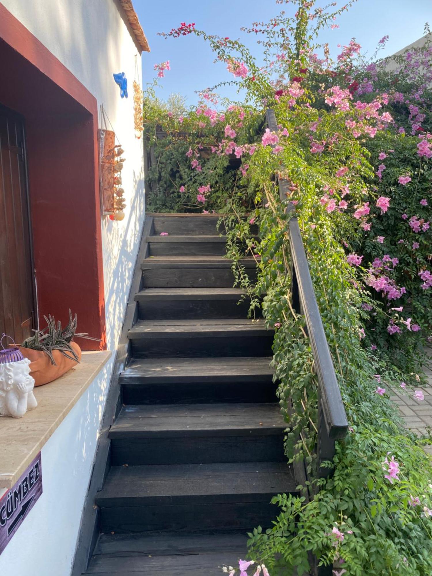 Betul Guest House ฟามากุสต้า ภายนอก รูปภาพ