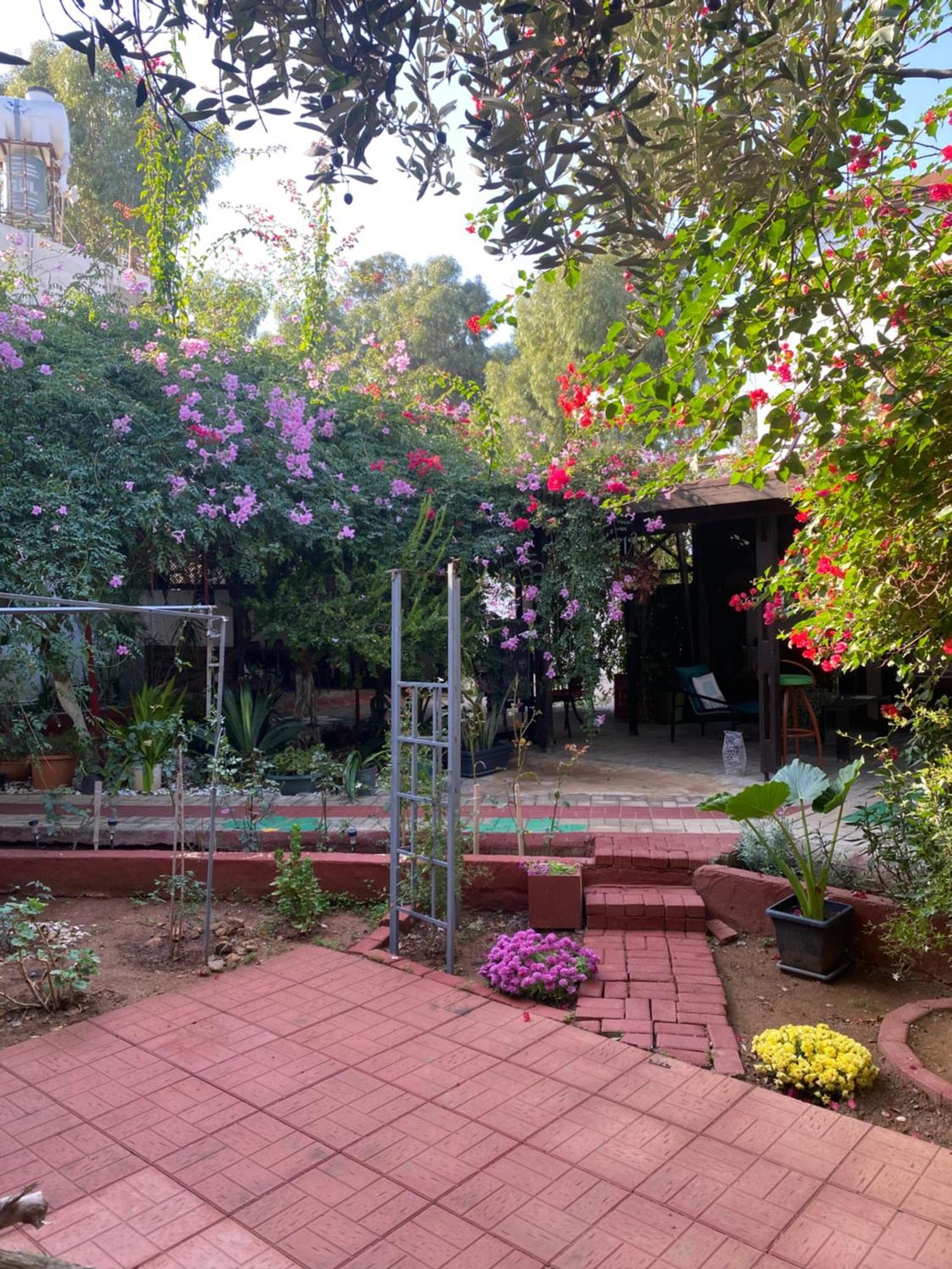 Betul Guest House ฟามากุสต้า ภายนอก รูปภาพ